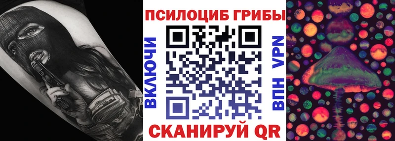 Псилоцибиновые грибы Magic Shrooms  Купить закладки  Киреевск 